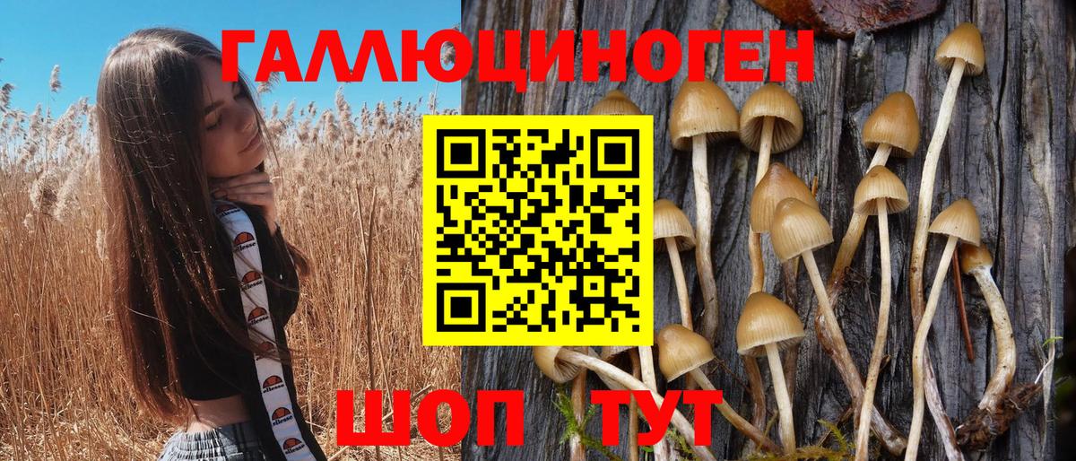 Галлюциногенные грибы ЛСД Елизово
